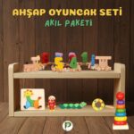 Eğitici Ahşap Oyuncak Akıl Seti